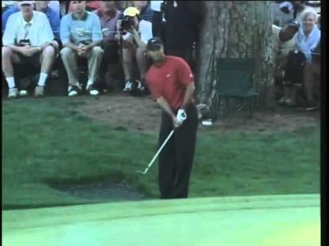 Tiger Woods-Chip in the Masters Augusta