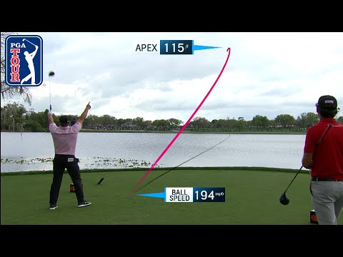 Craziest shots of the year on the PGA TOUR | 2021