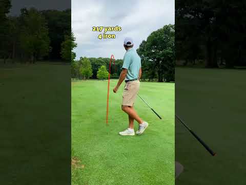 Have You Ever Seen A Lefty That’s Bad At Golf?
