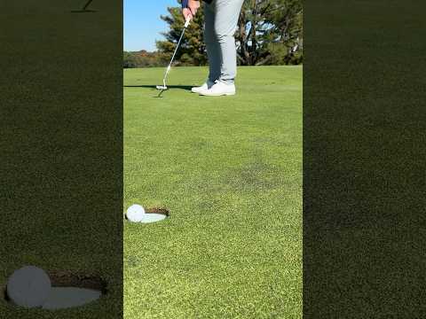 Evnroll Zero putters have L.A.B-style balance but conventional looks. #golf #golftips #golfequipment