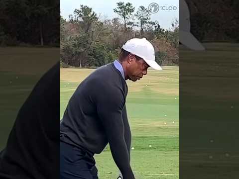 This is TIGER WOODS's swing